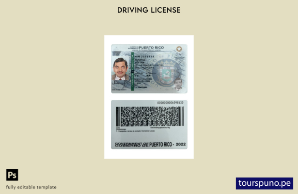 Listo para imprimir la plantilla actual de licencia de conducir de Puerto Rico